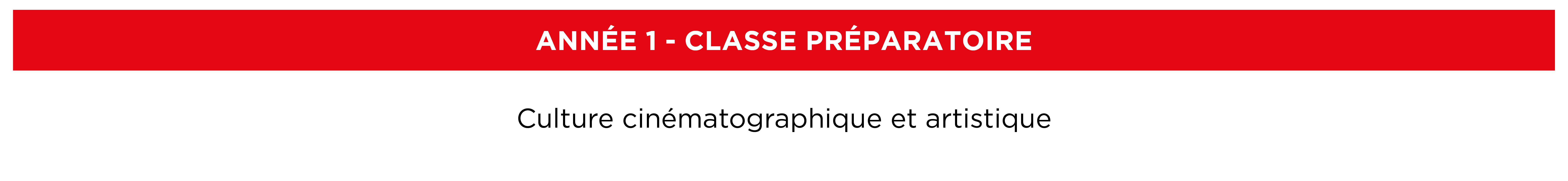 École Cinéma Paris ÉSEC : Schéma des études année 1