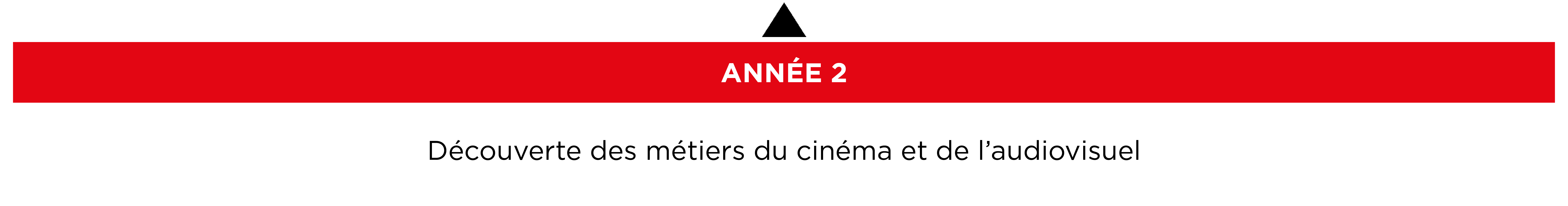École Cinéma Paris ÉSEC : Schéma des études année 2