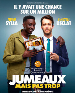 Affiche Film : Jumeaux mais pas trop - Marie CHAUVIN